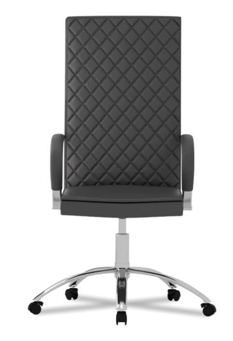 Soft Home Office Chair
