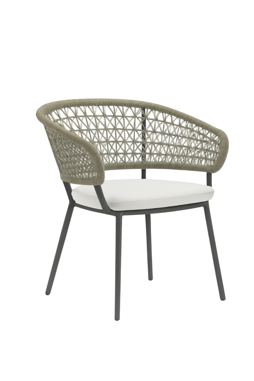 HP Owen Dining Chair