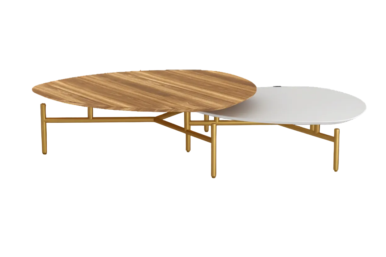 Nest Coffee Table Set of 2