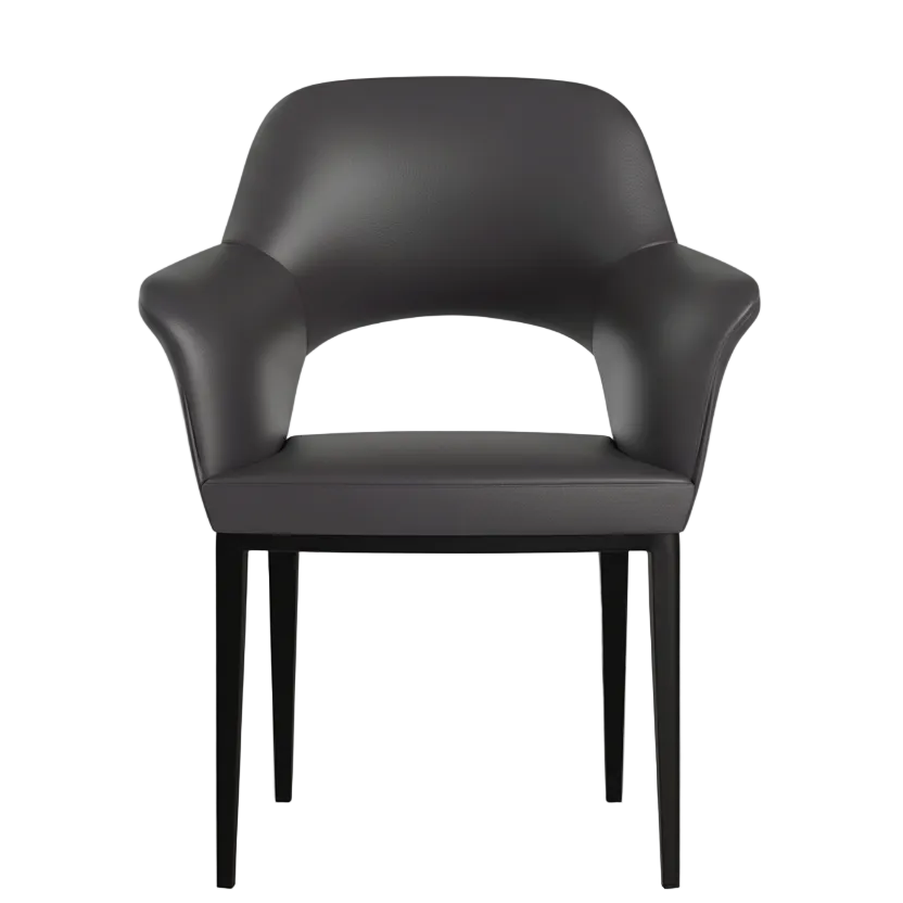 Rubi Dining Chair - Leather